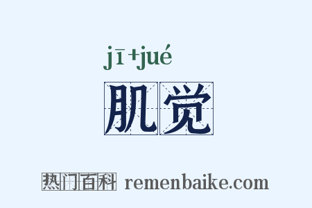 肌觉是什么意思的图片